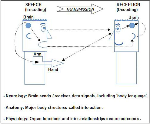 The Communication Chain Diagram of speech and language