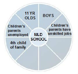 social ecology diagram 2A