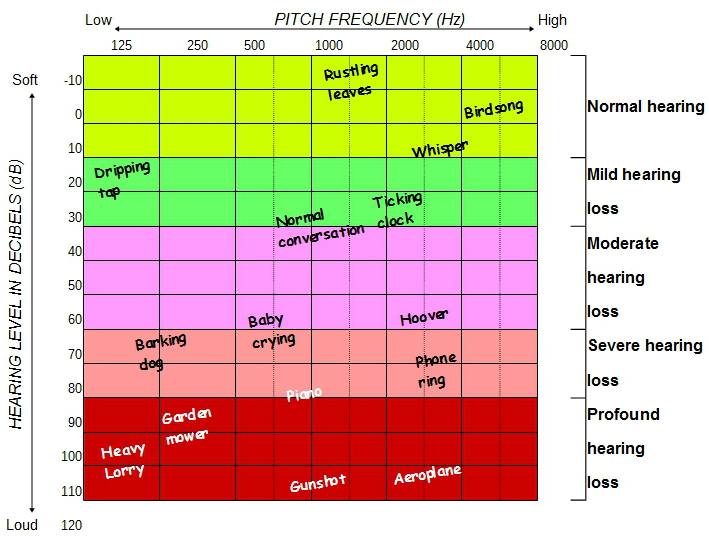 sensory impairment-Everyday-sounds-diagram