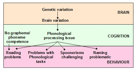 dyslexia in children phonological deficit