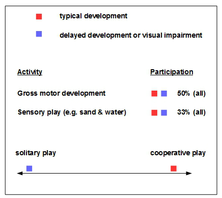 disability and inclusion play preferences