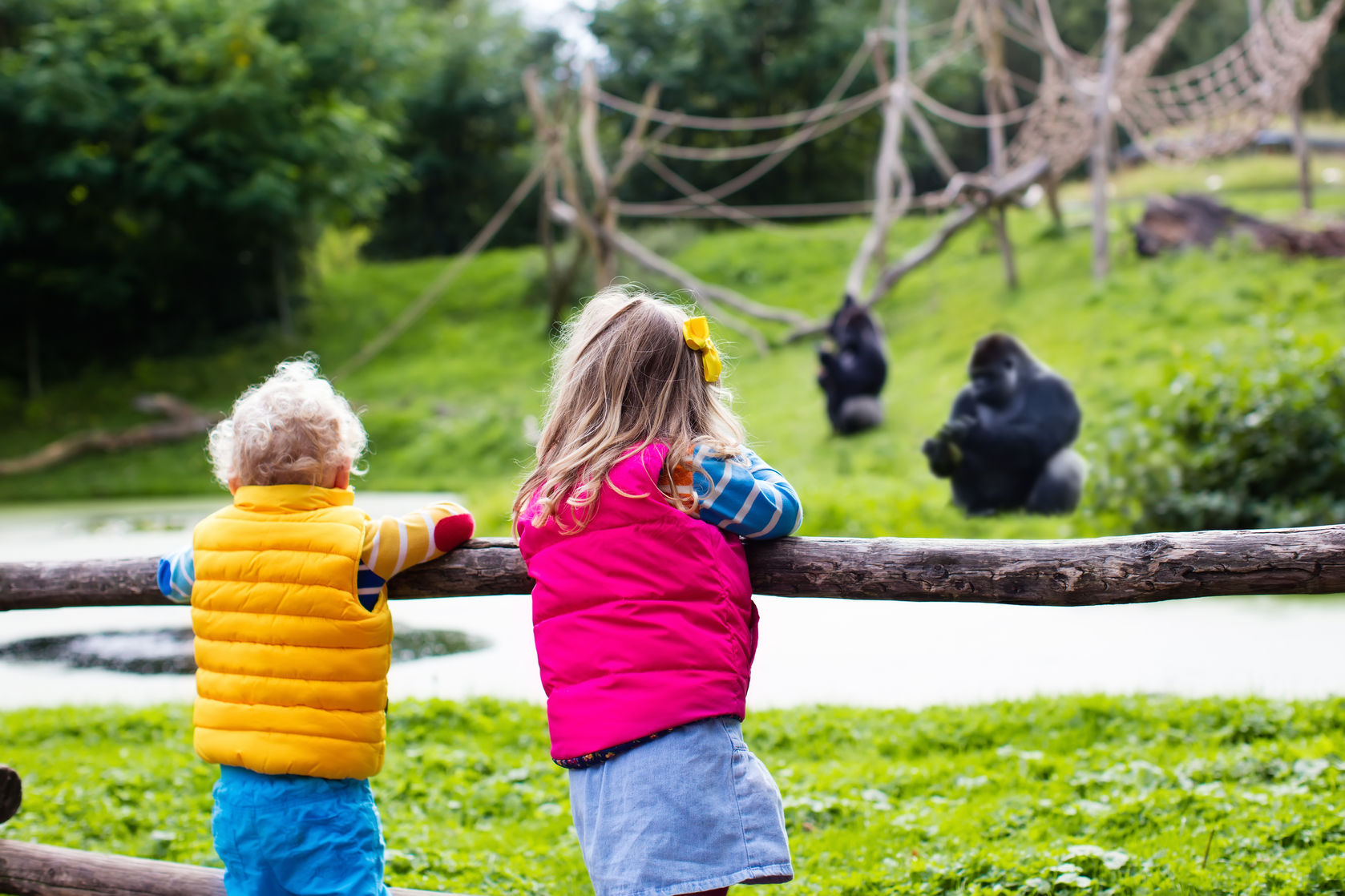 Nursery outings - a trip to the zoo