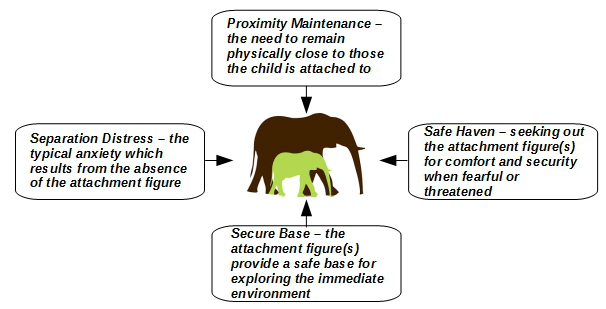 social and emotional attachment features