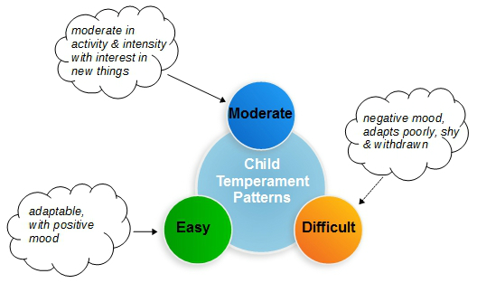 temperament patterns