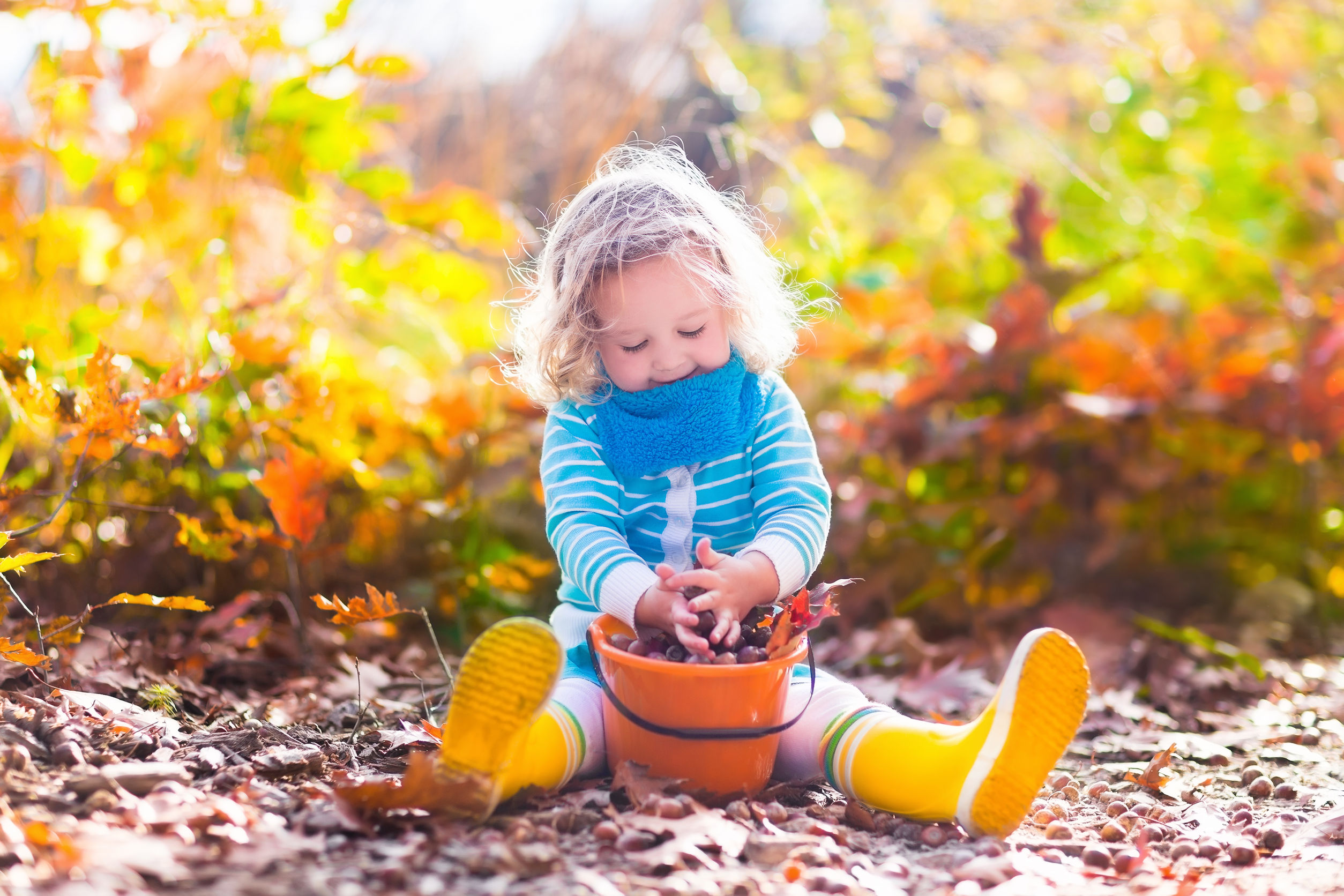 autumn craft ideas for early years - collecting sticks