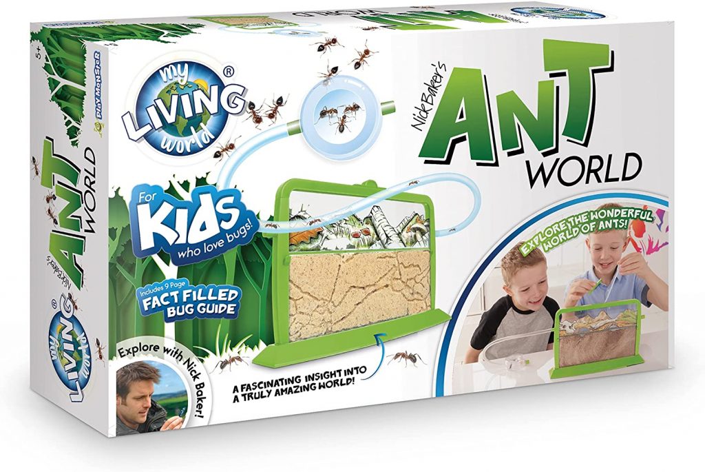 ant world