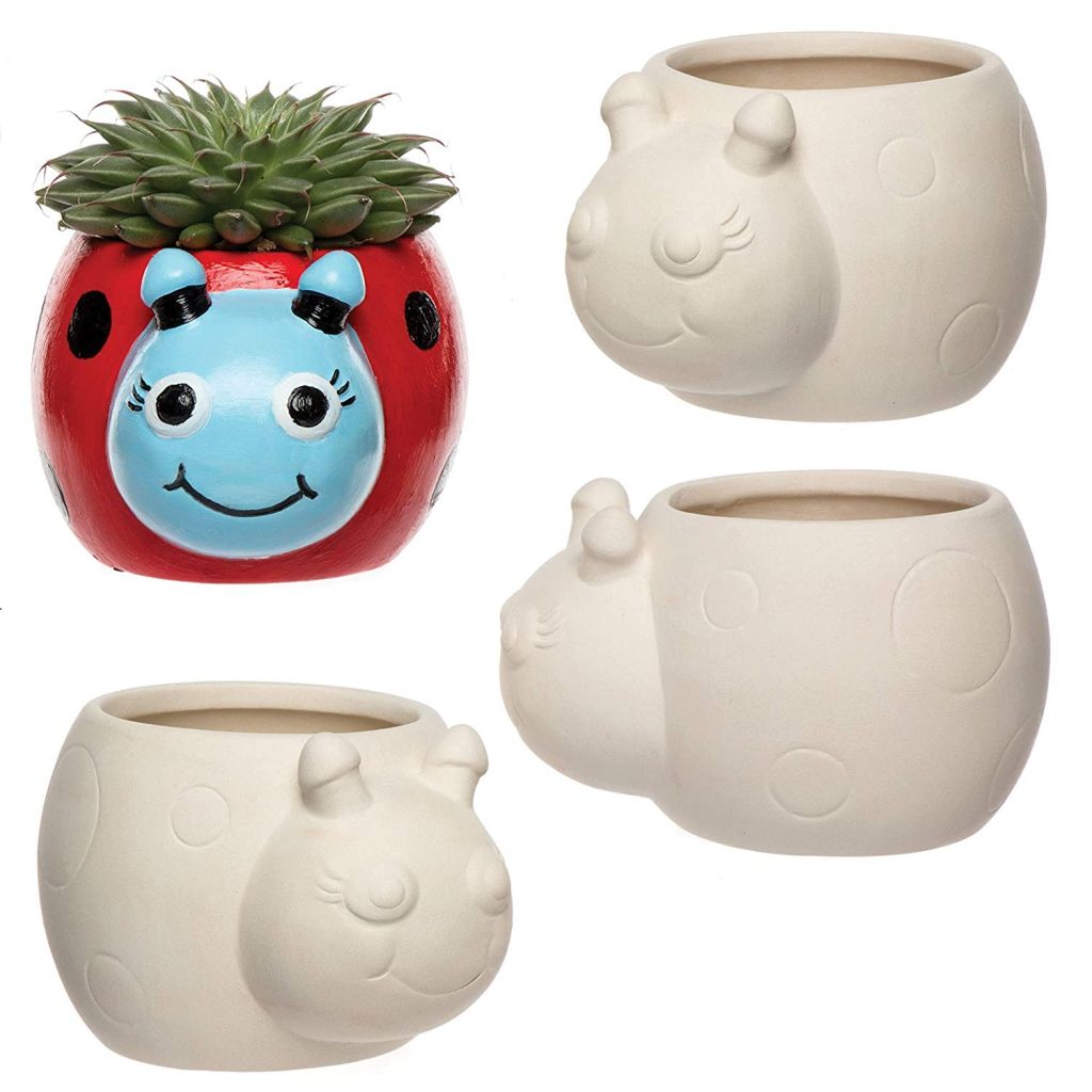 plant pot